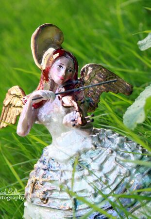 KIEDY KWIATY ZWIĘDNĄ POZOSTANIE TYLKO MUZYKA