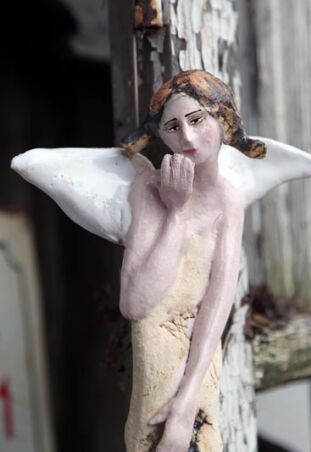 BOSONOGIE - BIAŁOSKRZYDŁE 