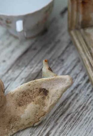 GŁÓWKA ANIELSKA   Z PTASZKIEM