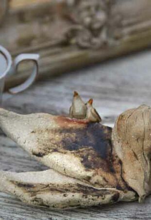 GŁÓWKA ANIELSKA   Z PTASZKIEM