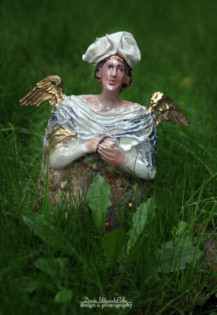 KOLOROWY PTAK W KLATCE